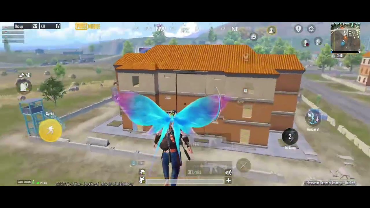 Pabji #pubgm