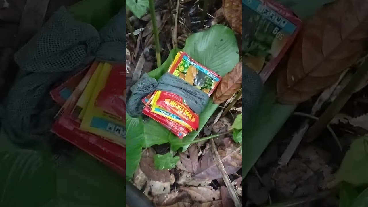 How I hide my pest control tools in the farm 