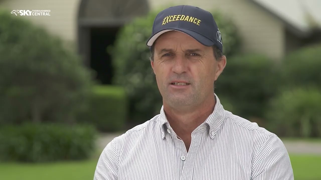 VINERY STUD   2022 INGLIS AUSTRALIAN YEARLING SALE PREVIEW   SEARCYMEDIA