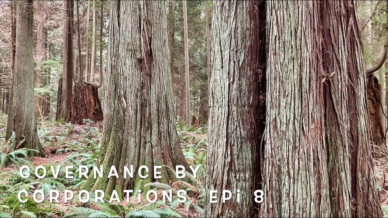 Epi 8 Governance by Corporations
