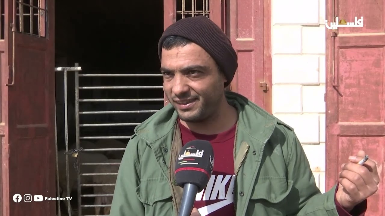 المستوطن ليس جارا في واد اجحيش في السموع جنوب الخليل