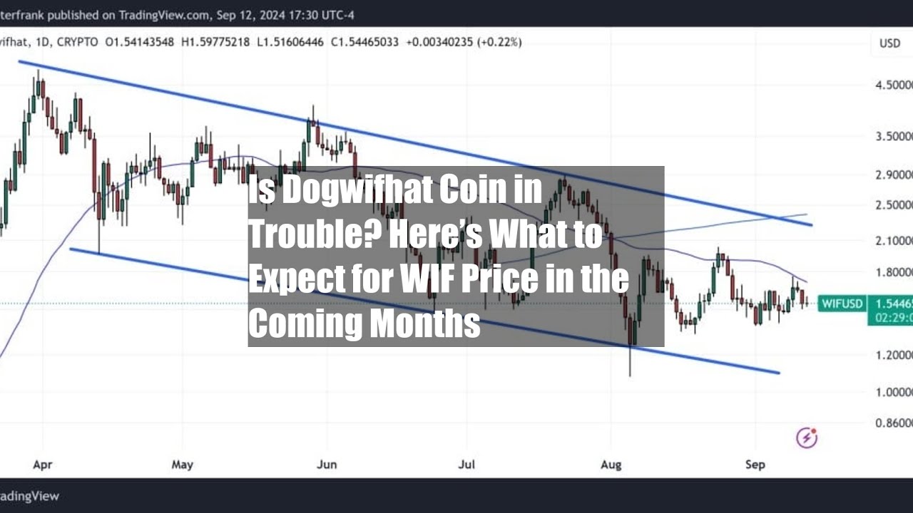 Is Dogwifhat Coin in Trouble? Here&rsquo;s What to Expect for WIF Price