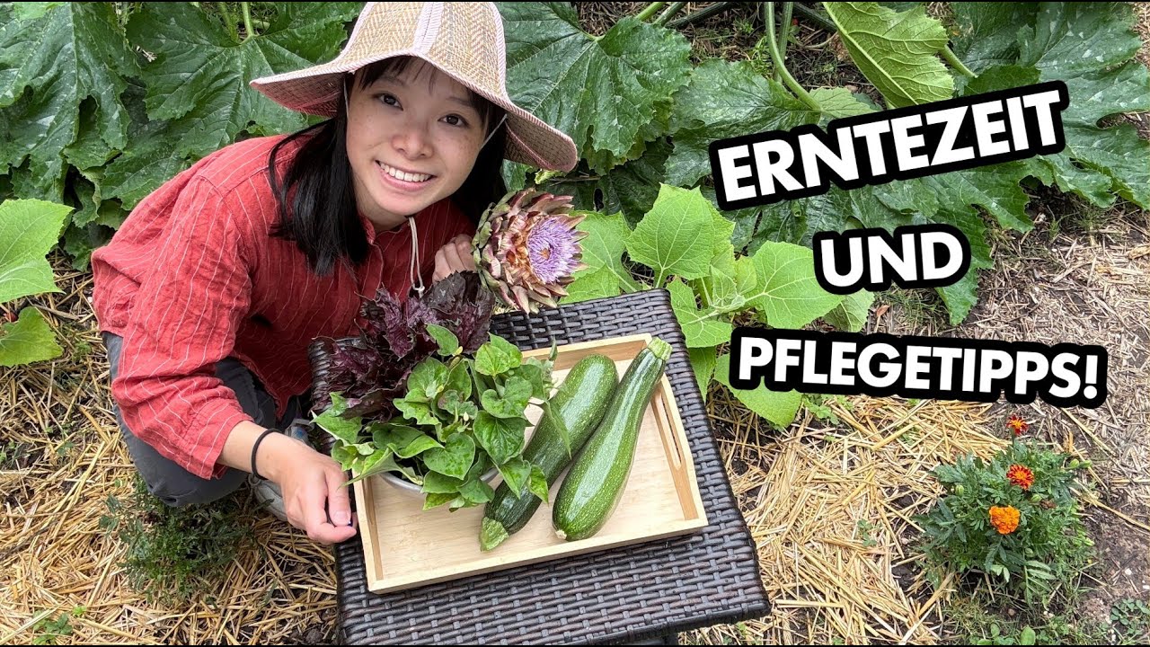 Garten-Ernte + praktische Pflegetipps | Mein Ernte-Update
