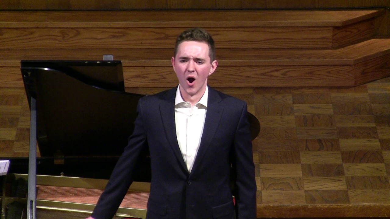 Vaughan Williams: Songs of Travel ~ In Dreams