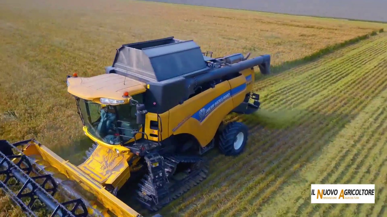 Riso Selenio biologico, ottima produzione con la subirrigazione a manichetta