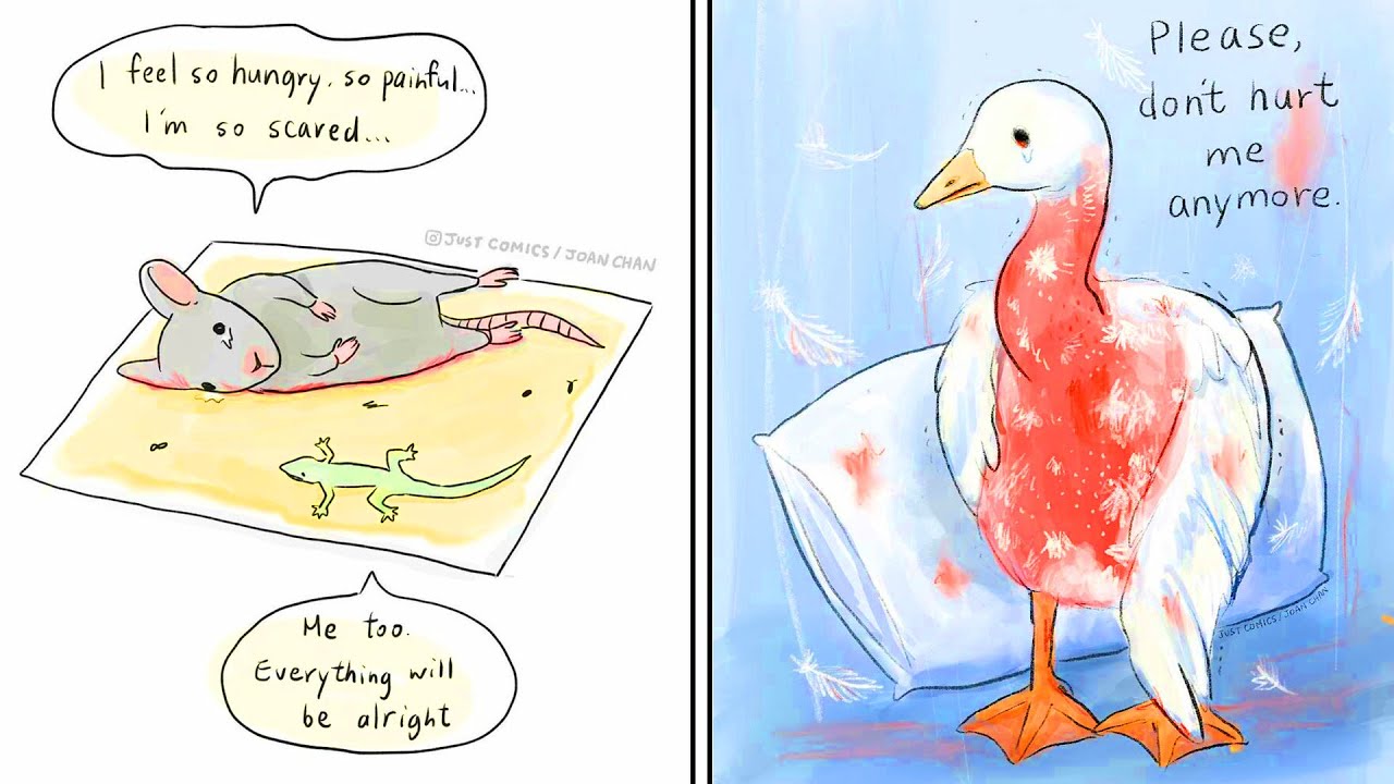 Sad Comics About Animal Abuse And Factory Farming That Will Breaks Your Heart 💔 #1