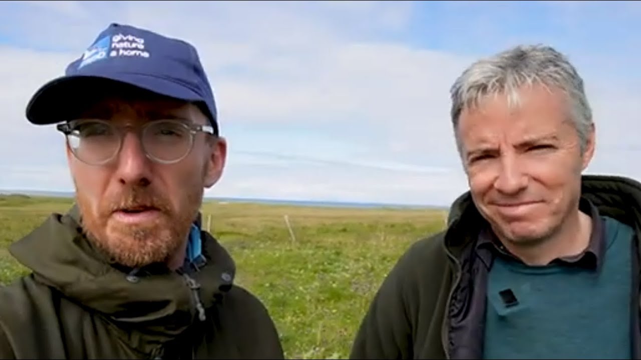 SEARCHING FOR SCOTLAND'S RAREST BEE