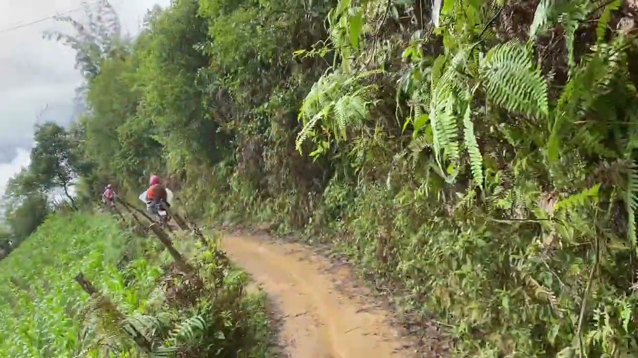 Mù Cang Chải 02/6/2022