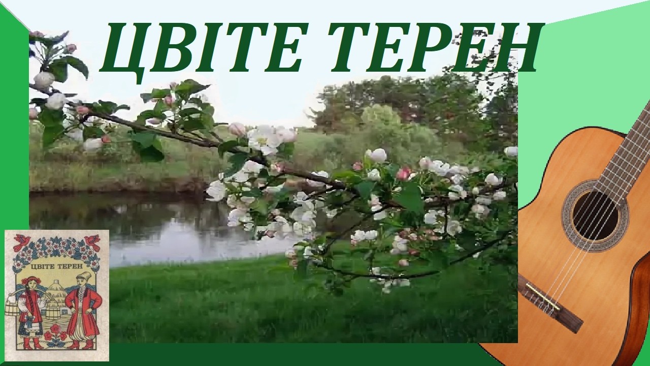 ЦВIТЕ ТЕРЕН - обработка для гитары.