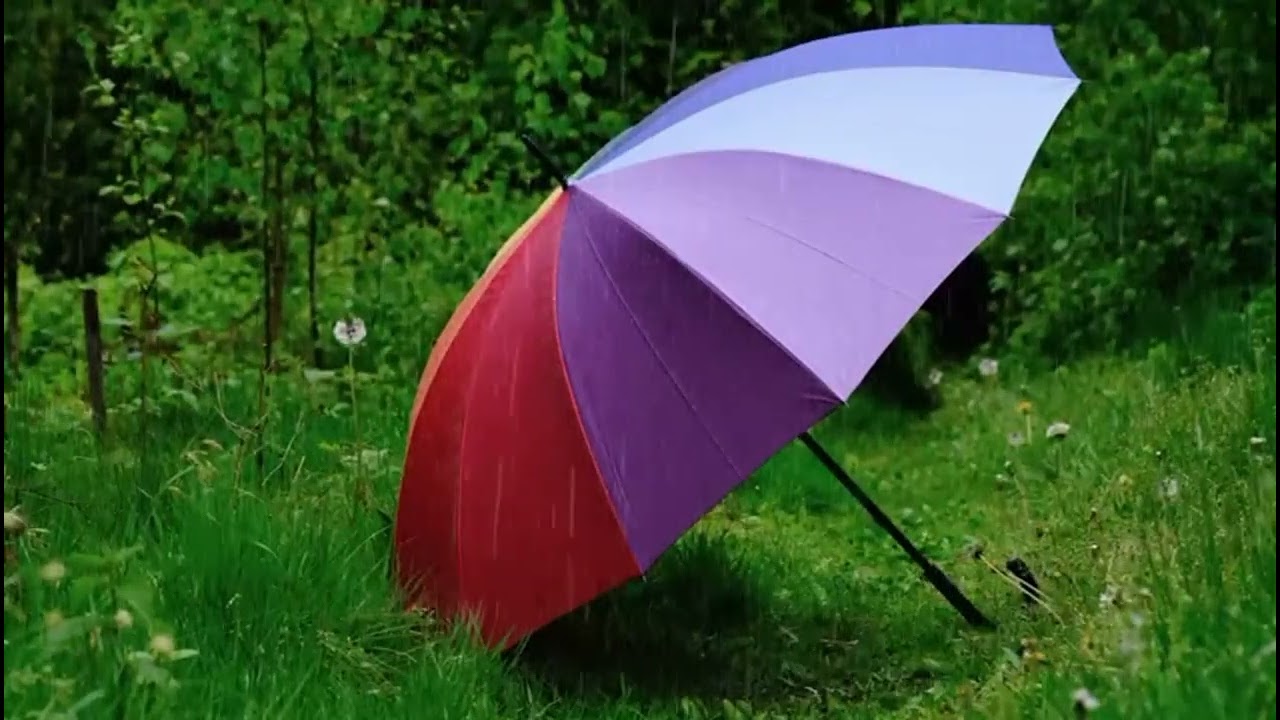 Rain falling on umbrella sound for deep sleep - relax and fall asleep fast 