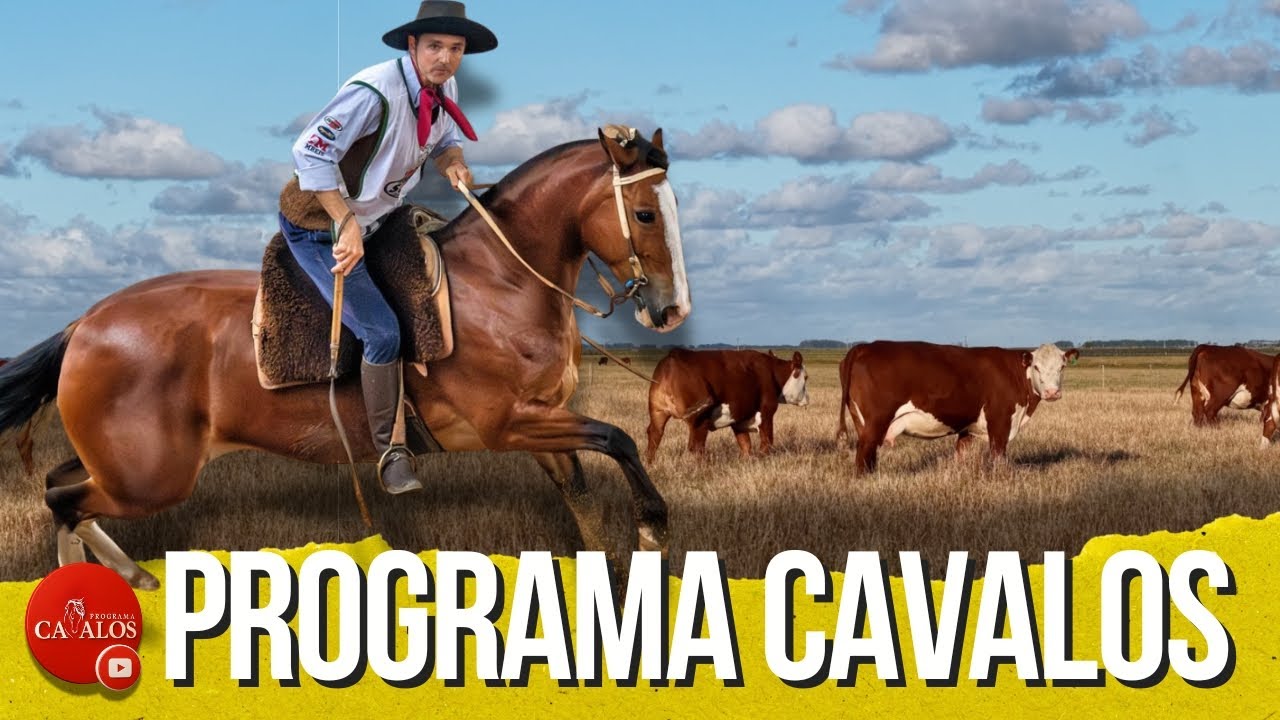 Estância Tamanca do gado Hereford ao Cavalo Crioulo no Programa Cavalos