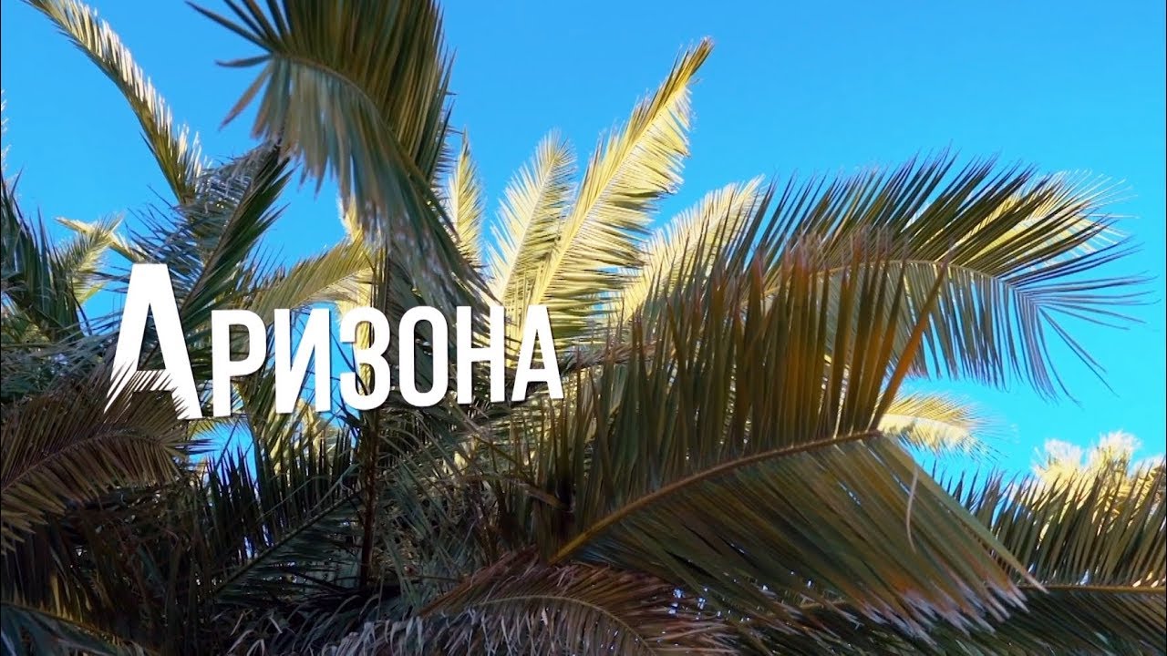 Аризона | АМЕРИКА. БОЛЬШОЕ ПУТЕШЕСТВИЕ | №14