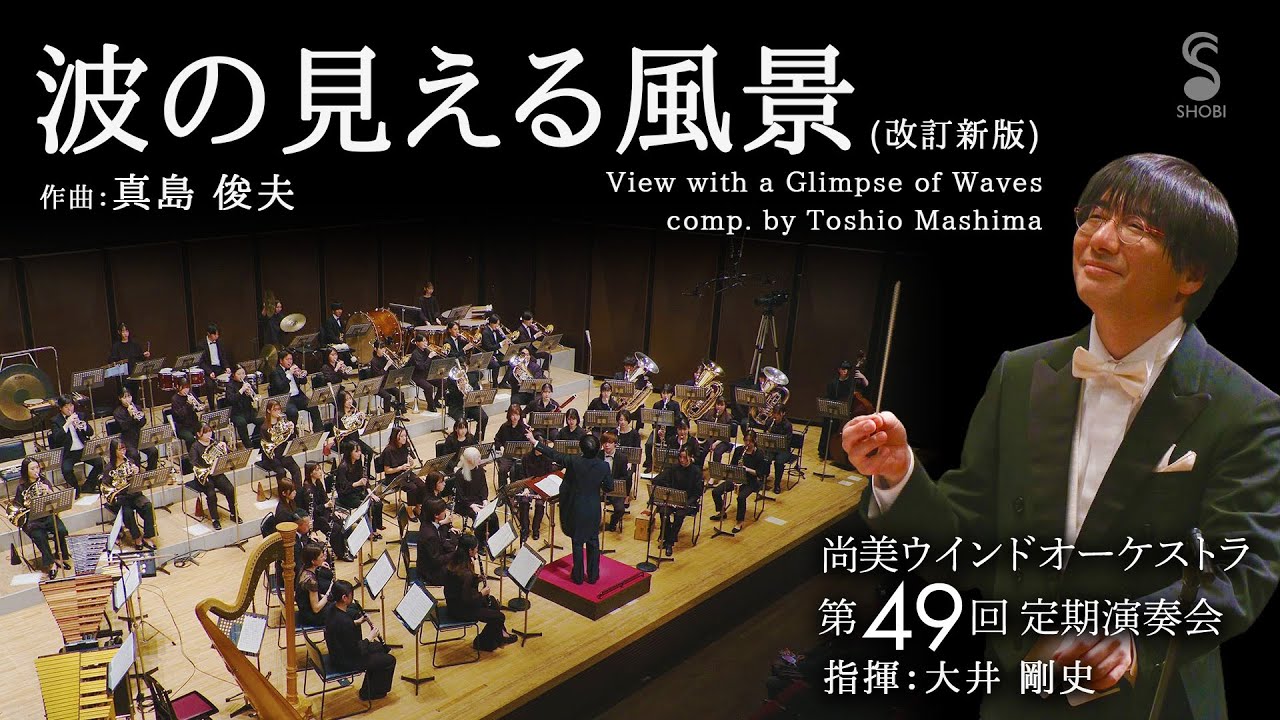 波の見える風景（改訂新版）[真島 俊夫]　View with a Glimpse of Waves / Toshio Mashima