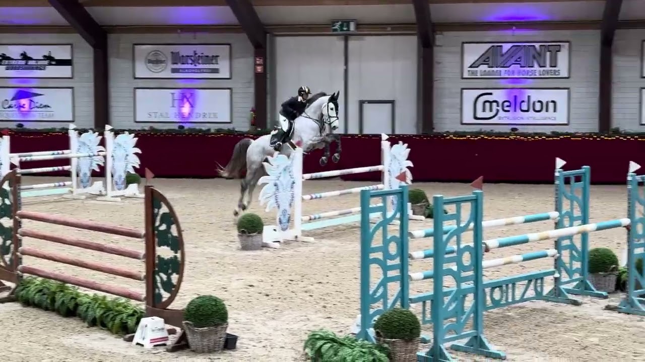 Cupido - 8y - PROTOUR peelbergen 26