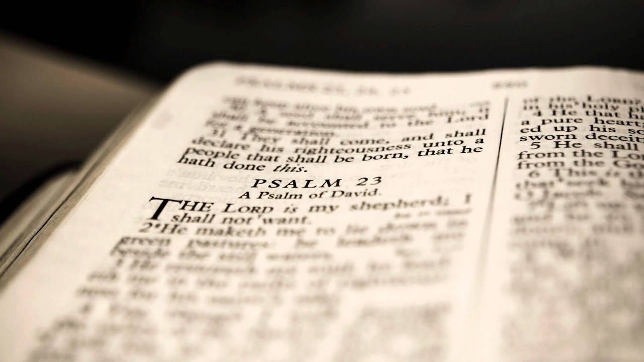 The Point with John Stonestreet: Real Science vs. Naturalism