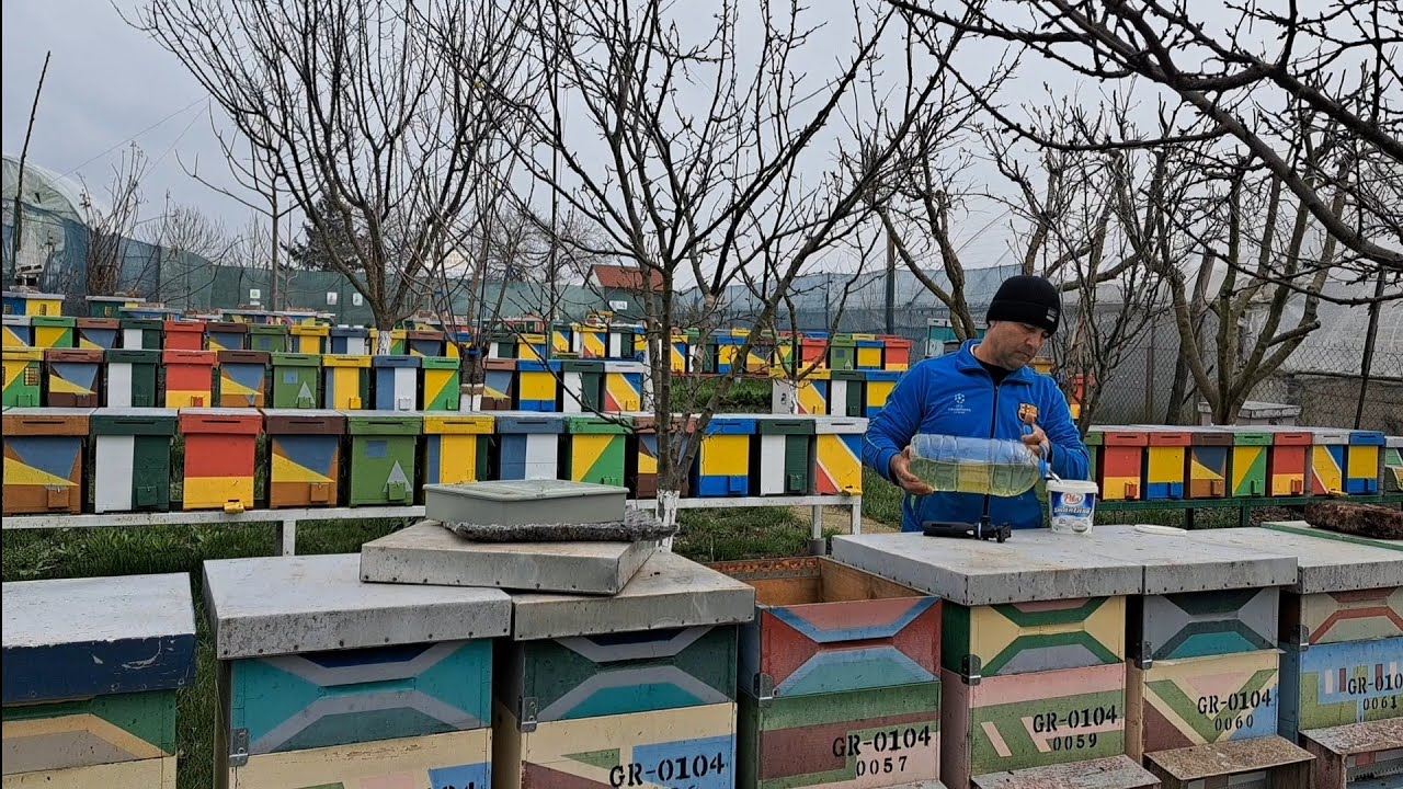 Stimularea de primăvară cu sirop.