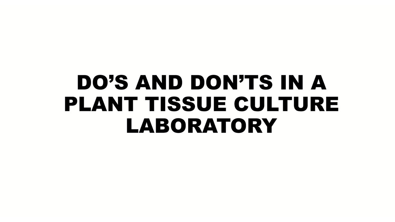 DO'S AND DON'TS IN A PLANT TISSUE CULTURE LABORATORY