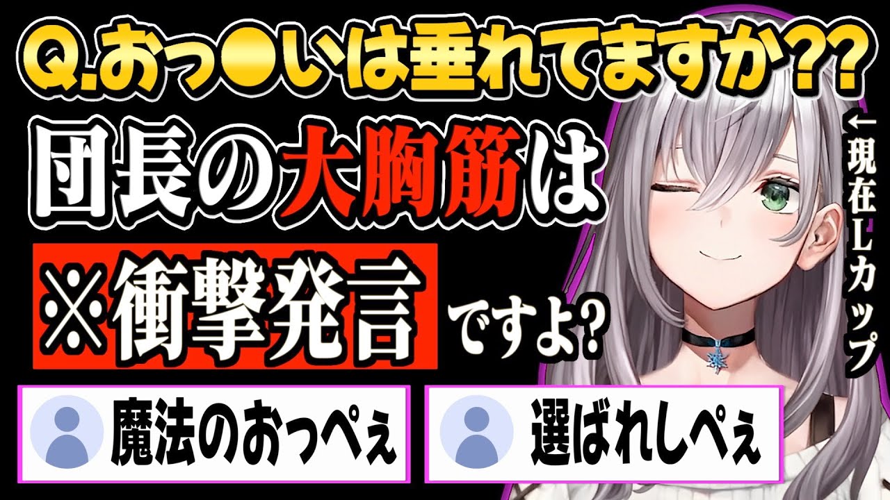 最強すぎる大胸筋を持っているノエちゃんw【白銀ノエル/ホロライブ切り抜き】