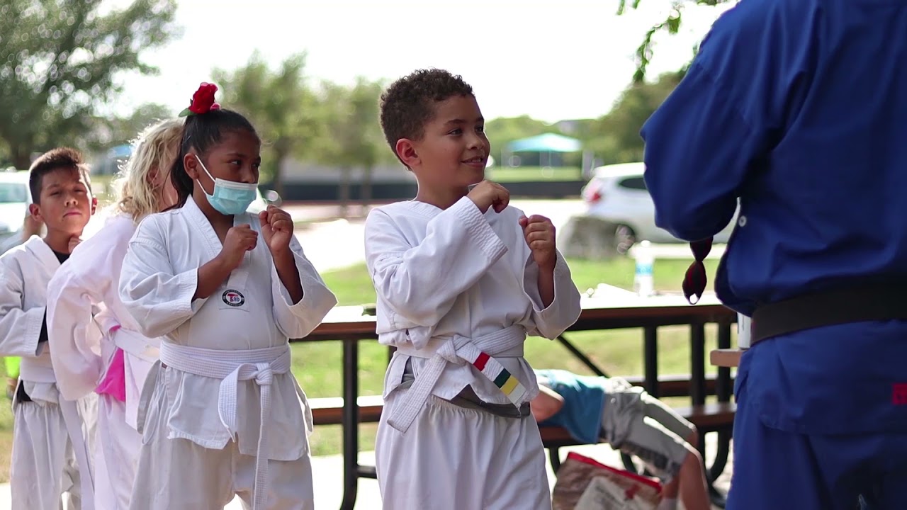 The Art of Taekwondo