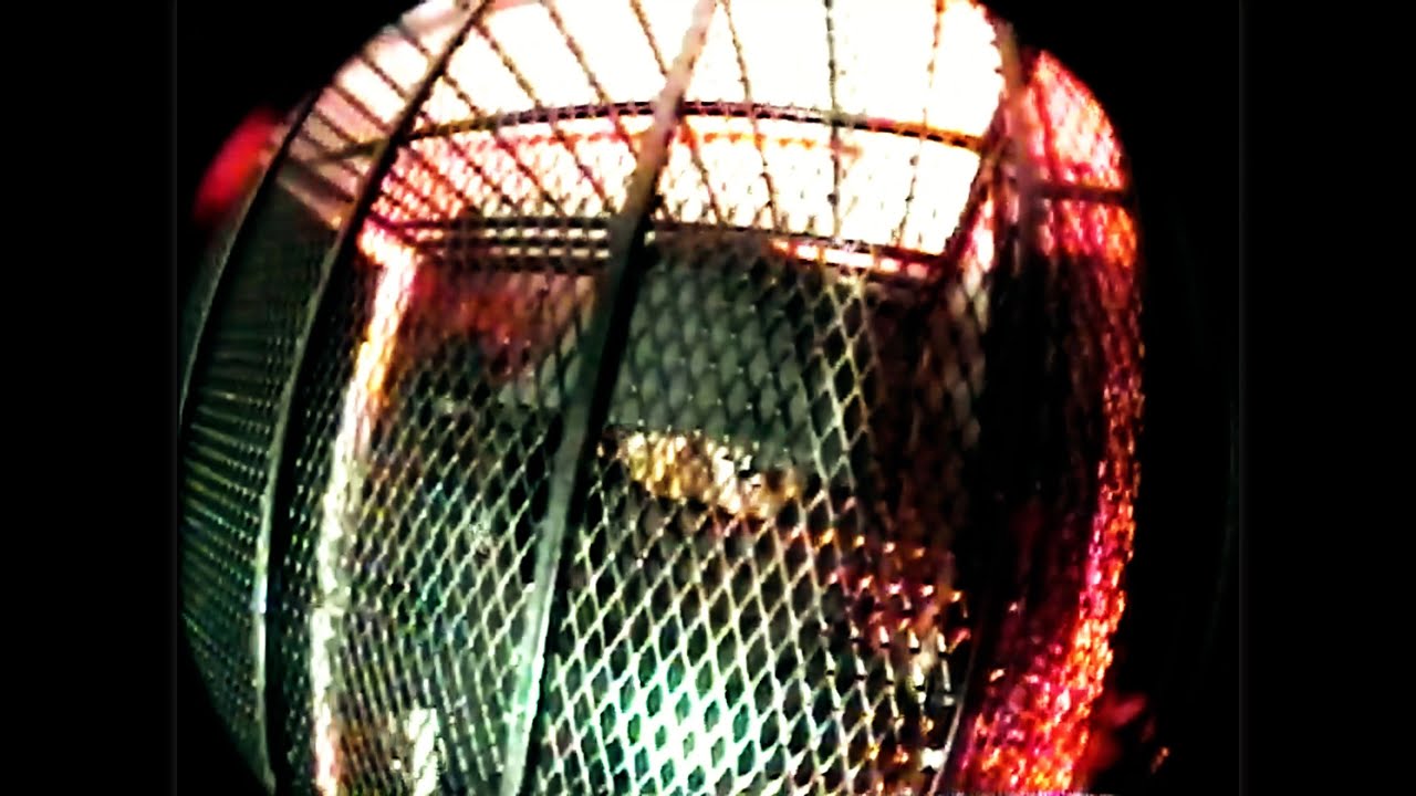 Double0Glizzy "Murda & Luv" Official Video