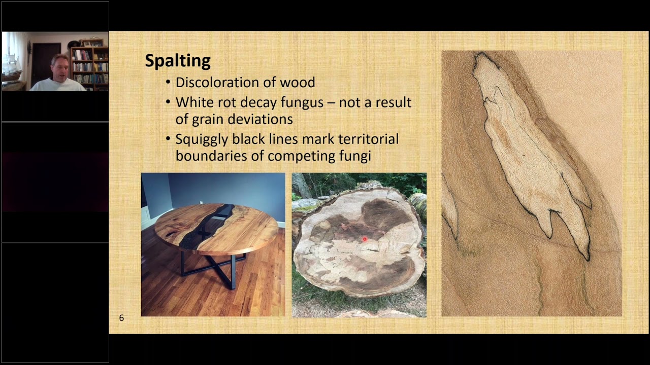 Figured Maple: Finding, understanding, and growing 