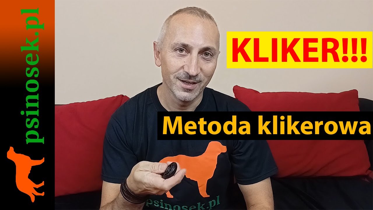 Kliker - jak go używać w szkoleniu psa?