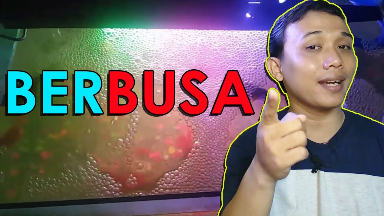 5 Penyebab Kenapa Air Aquarium Berbusa, Berkabut Putih, Bau Amis Pada Ikan Mas Koki