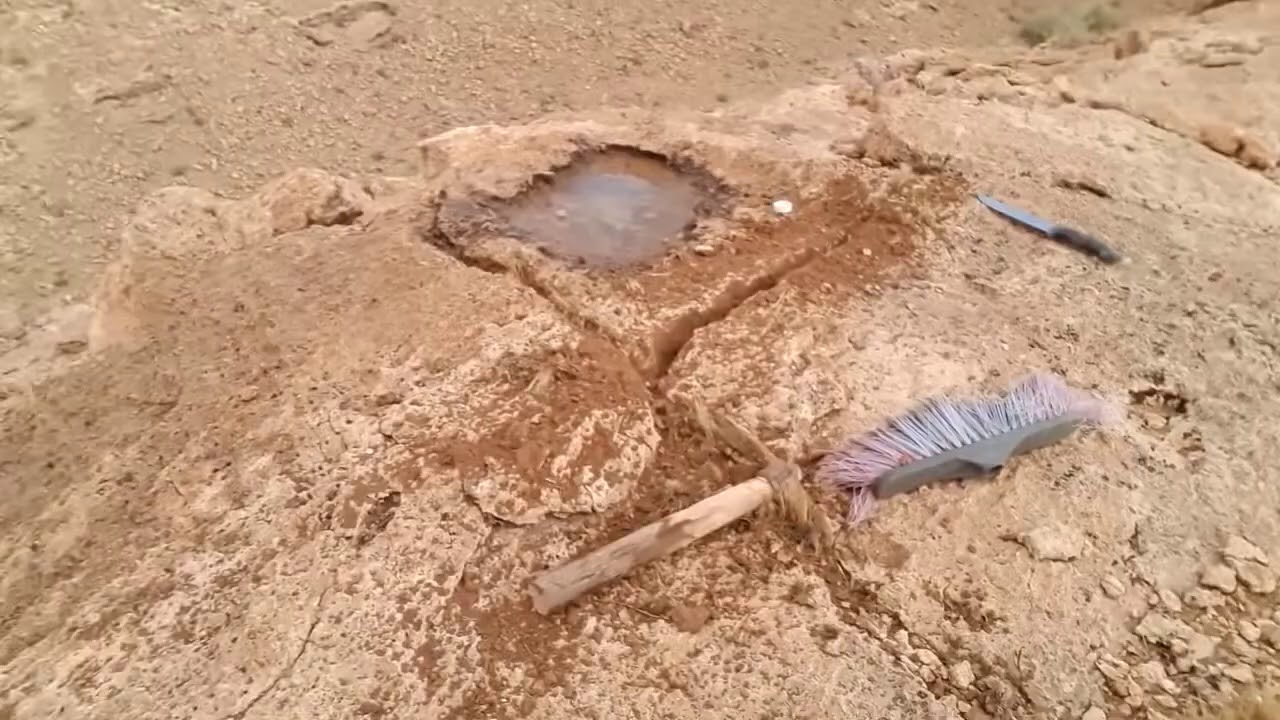 هدف مباشر للحضارة القبصية .. تحليل المحترف