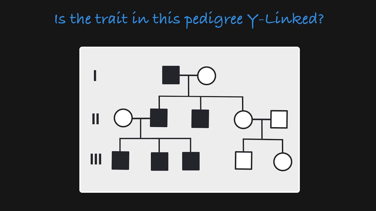 Y-Linked Traits in a Pedigree