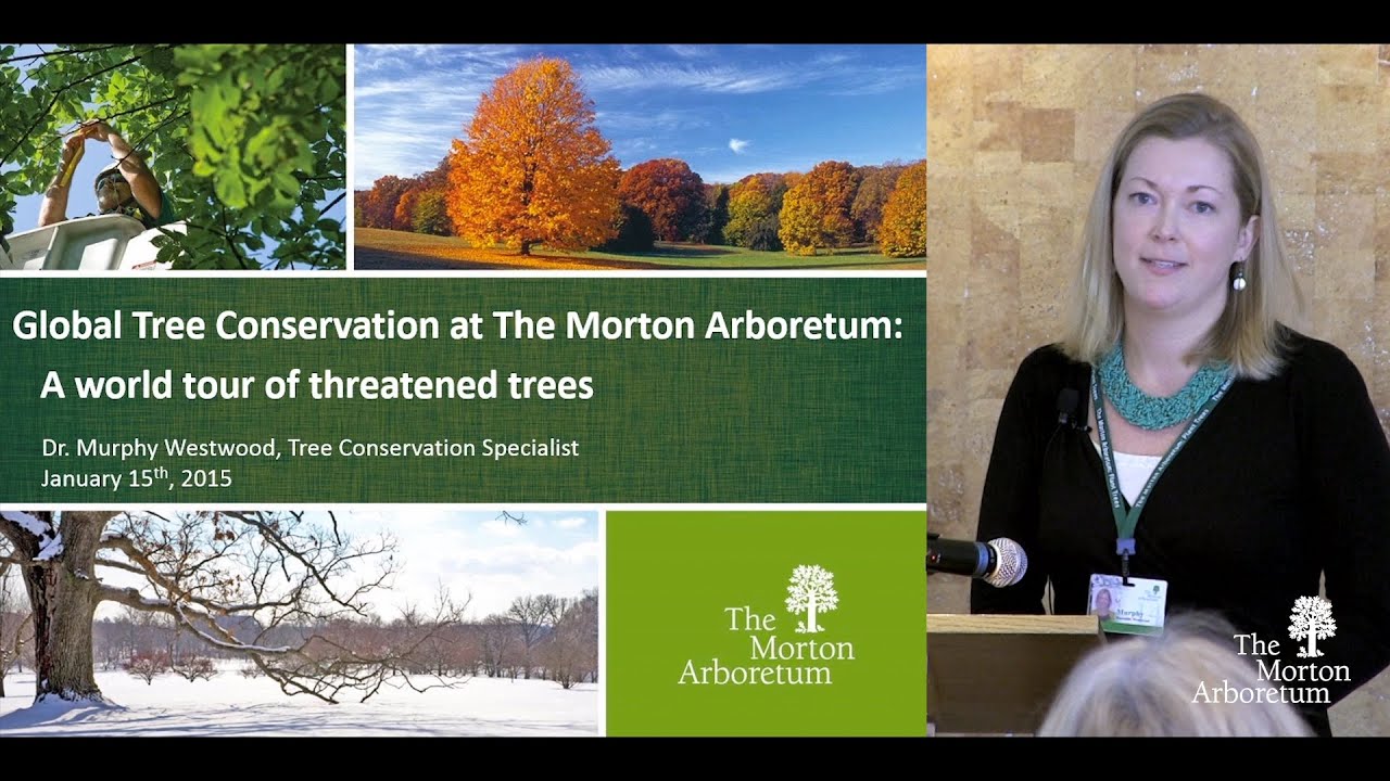 Global Tree Conservation: A world tour of threatened trees