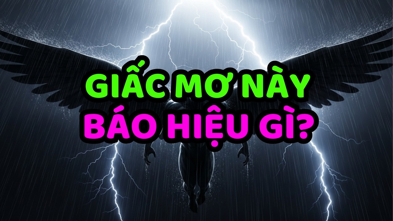NGƯỜI ĐƯỢC CHỌN: GIẤC MƠ NÀY ĐANG CHUẨN BỊ BẠN CHO ĐIỀU BẠN CHƯA DÁM NGHĨ TỚI