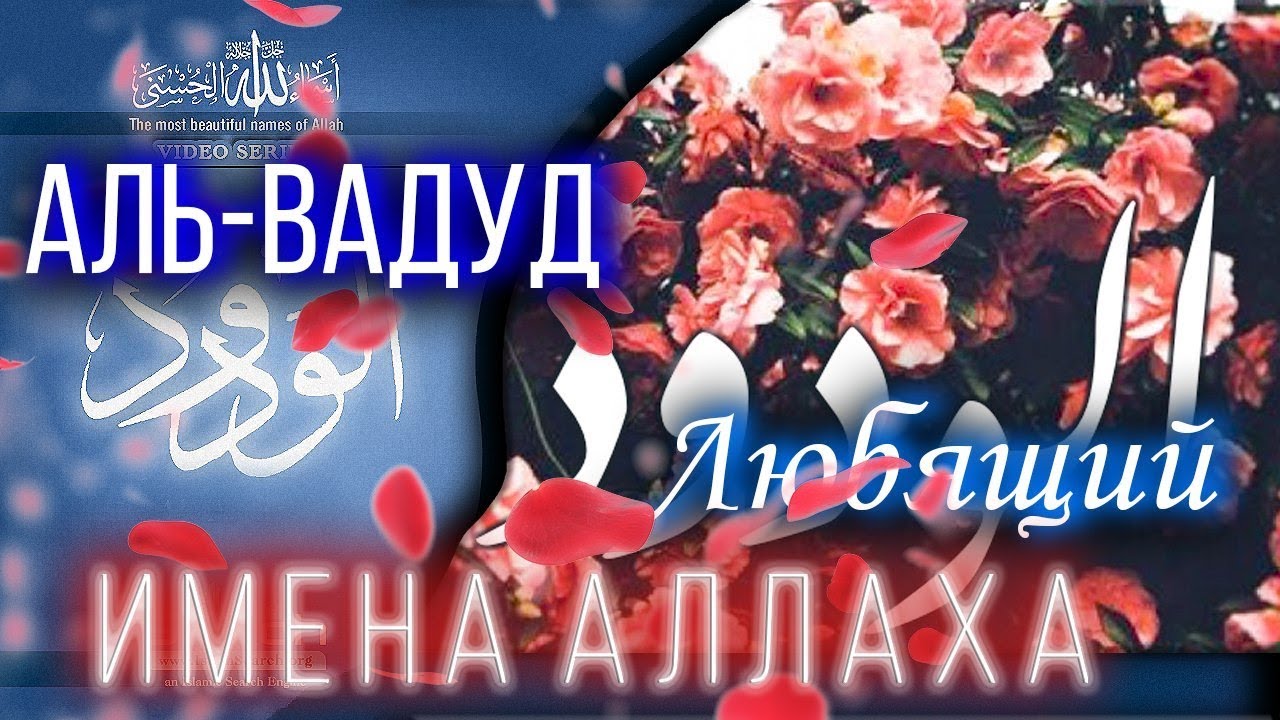 Имя Аллаха - Любящий. Аль Вадуд. Ясир Кади