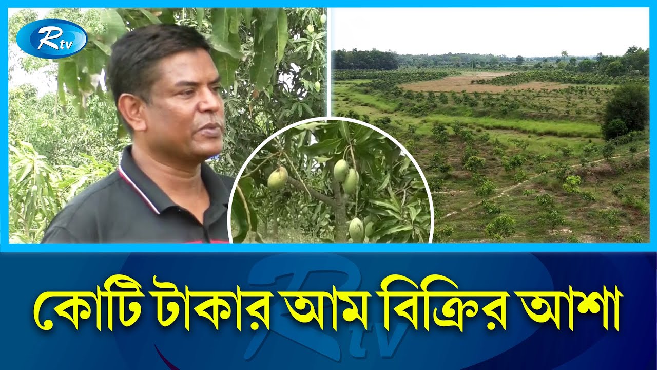 চাকরি ছেড়ে করেছেন আম বাগান, কো‌টি টাকা বি‌ক্রির আশা! | Mango Cultivation | Rtv News
