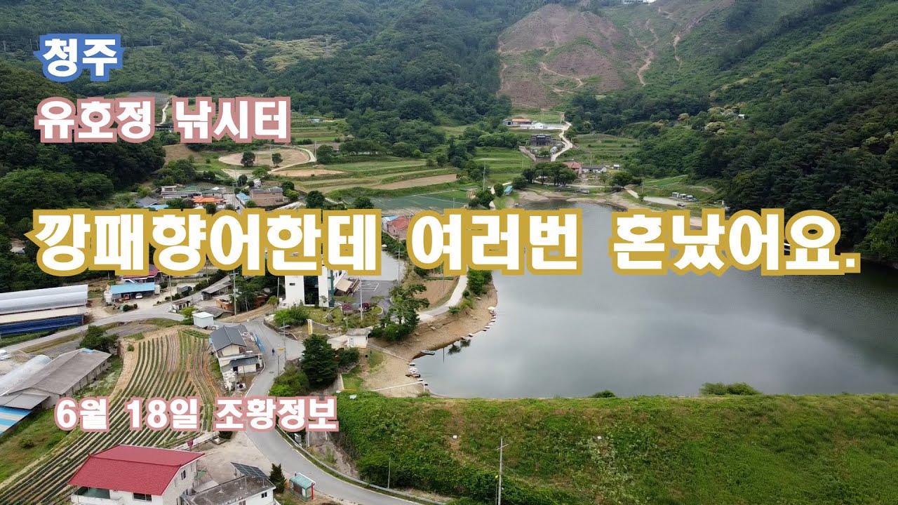 유호정낚시터~ 깡패향어한테 여러번 혼났어요