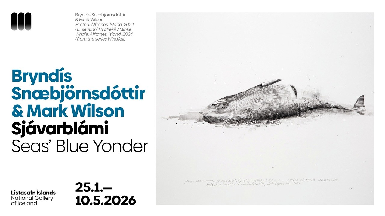 Listamannaspjall | Artist talk: Bryndís Snæbjörnsdóttir & Mark Wilson
