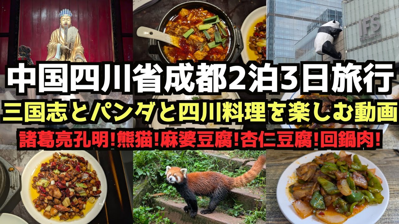 【三国志とパンダ】中国四川省成都2泊3日旅行 #中国旅行 #四川省 #成都 #孔明　#成都パンダ基地 #パンダ #武侯祠