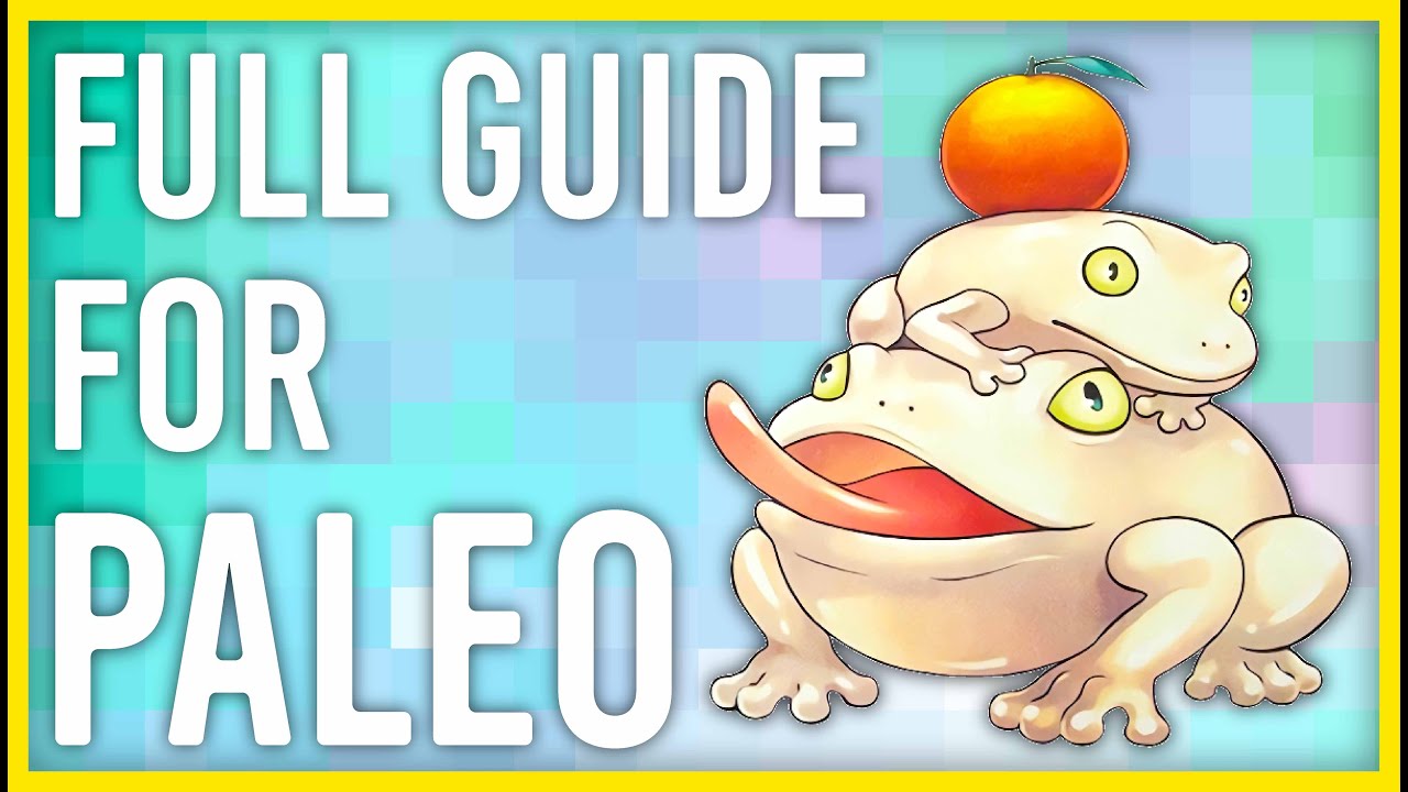 FULL GUIDE FOR PALEOZOIC // STRATEGIEN // TECH-CARDS // COMBOS // YU-GI-OH!