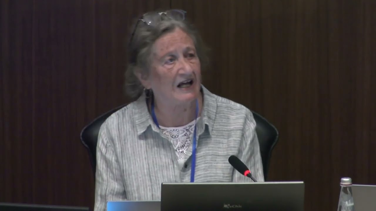 Concluding Remarks: Hens-Piazza and Béré