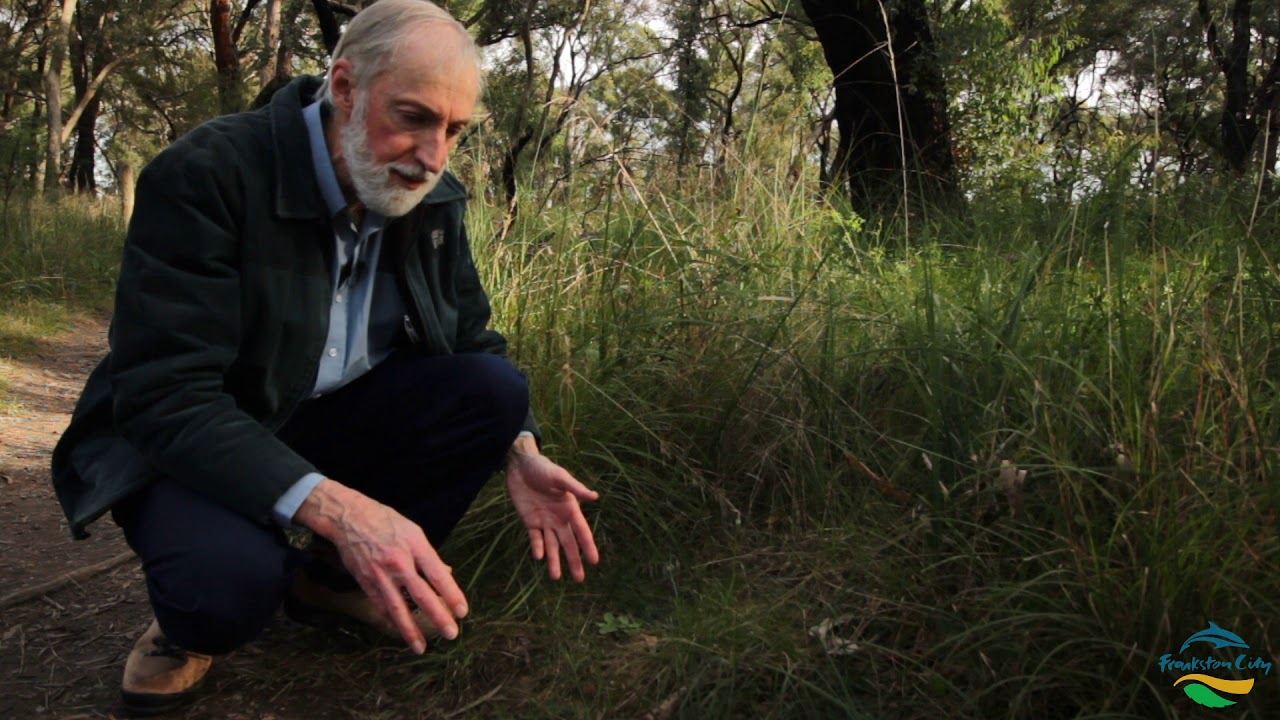 Environmental Weeds with Dr. Graeme Lorimer: Part 1 Ecological insights