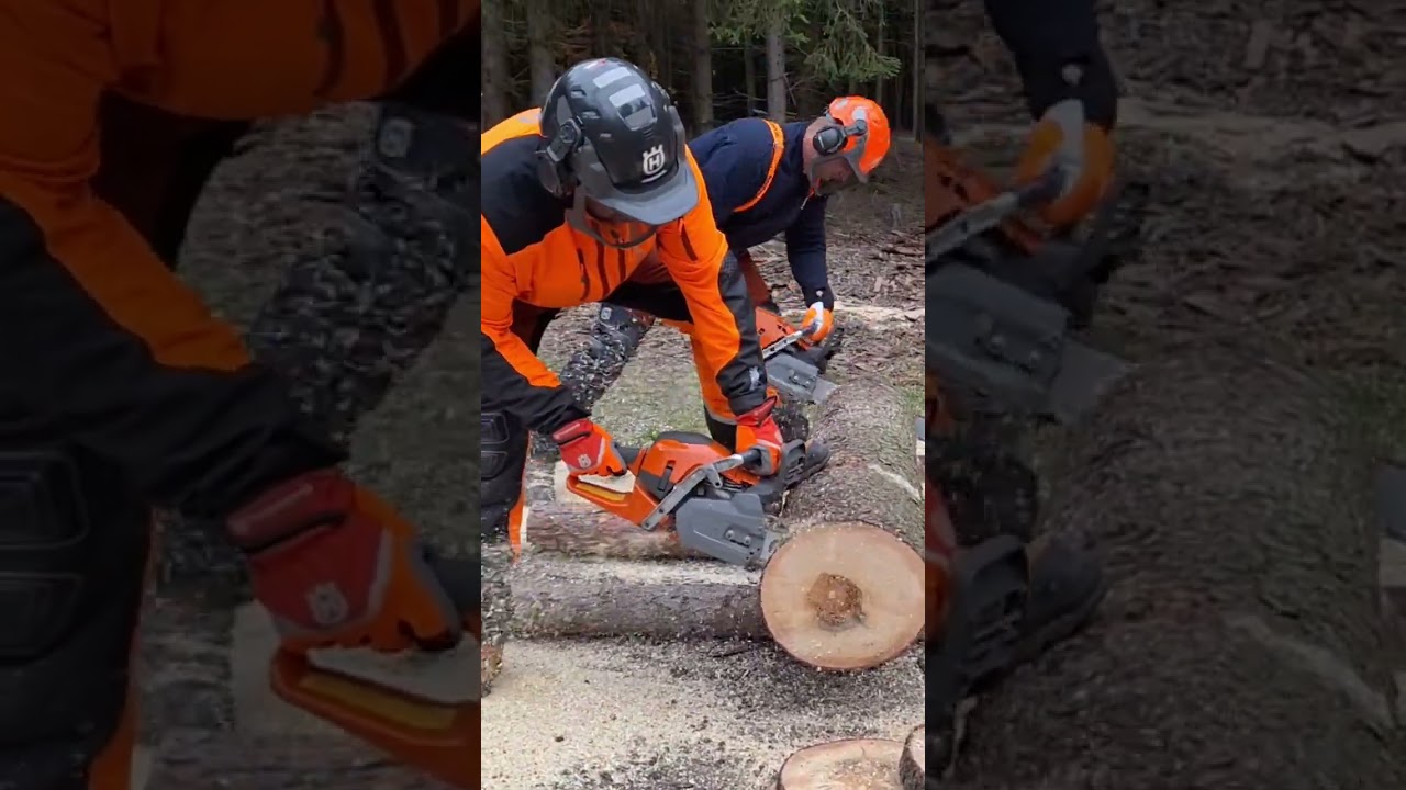 CHAINSAW HUSQVARNA 564XP🇸🇪 VS HUSQVARNA 572XP new powerful model #motors&auml;ge #kettens&auml;ge #l&aacute;ncfűr&eacute;sz