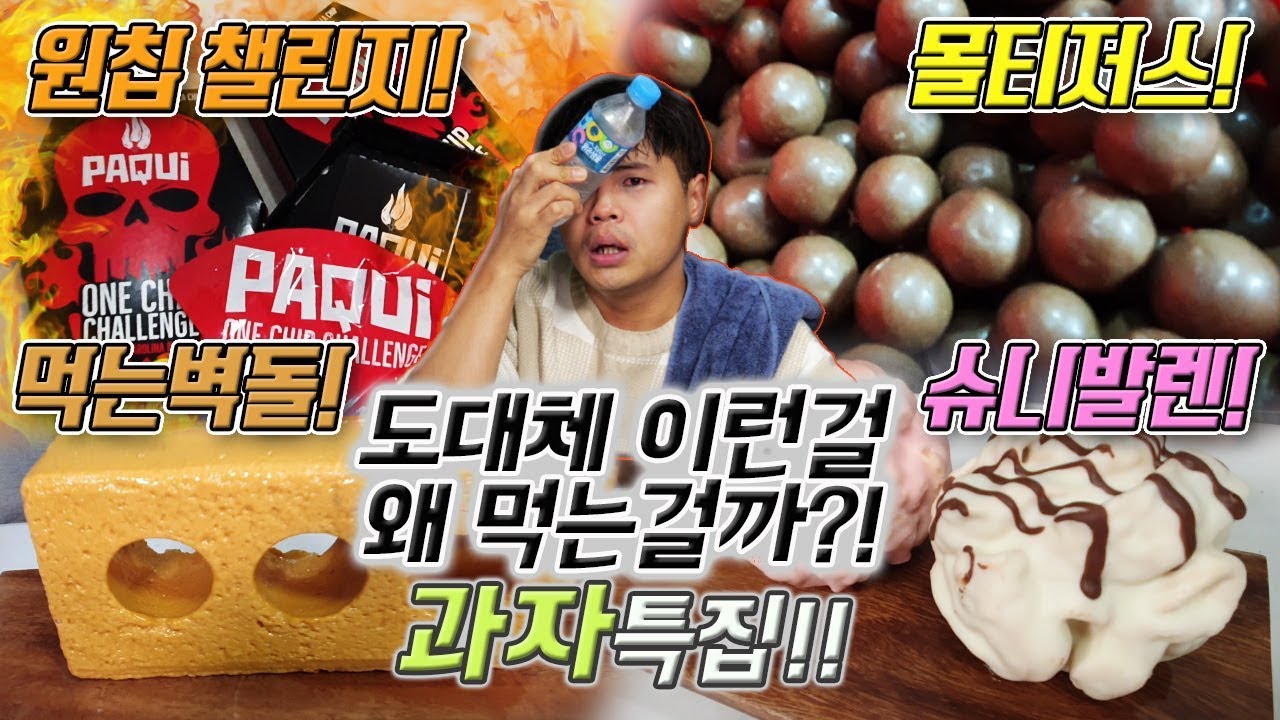 도대체 이런걸 무슨맛에 먹는걸까?! 과자 특집! 원칩챌린지, 몰티저스, 먹는벽돌, 슈니발렌 리뷰![제이제이]