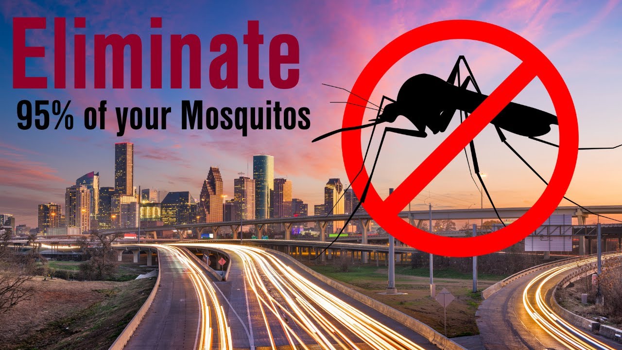 Mosquito Control in Houston, Texas