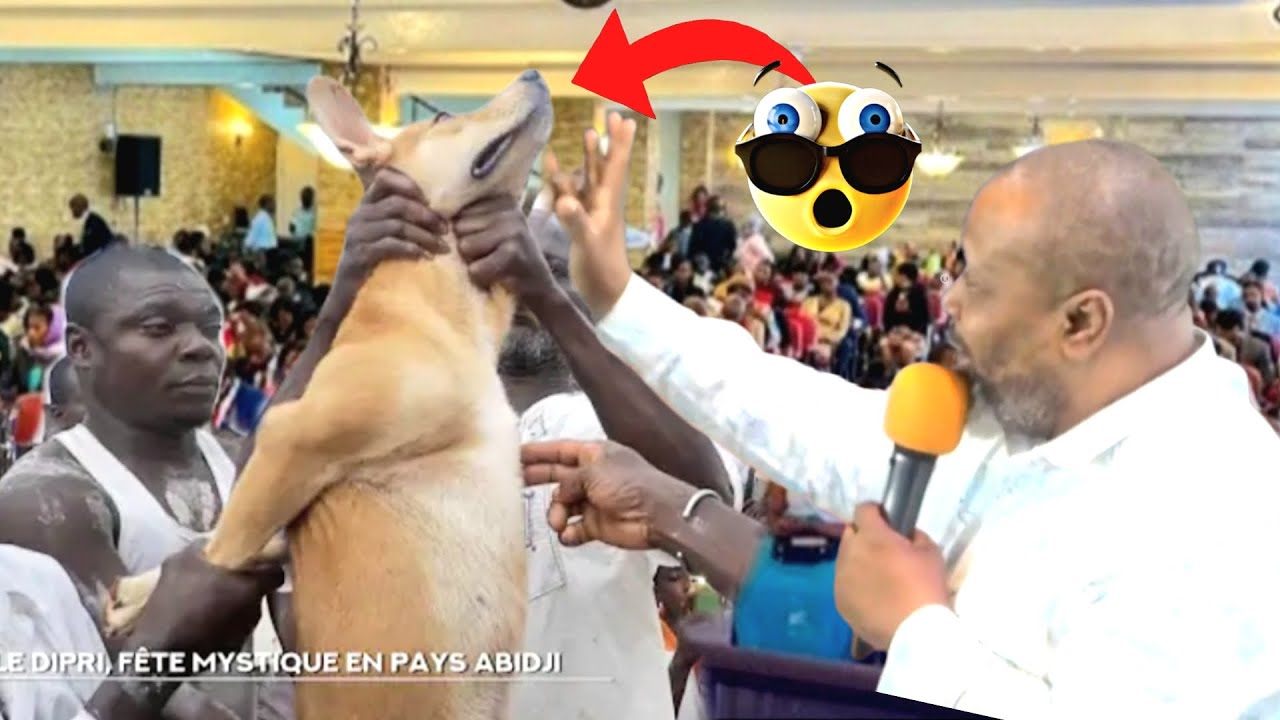 GADON MIRAK📍😳 Pasteur marco fè yon chyen al geri Yon moun●| Gadon pwisans mezanmi..