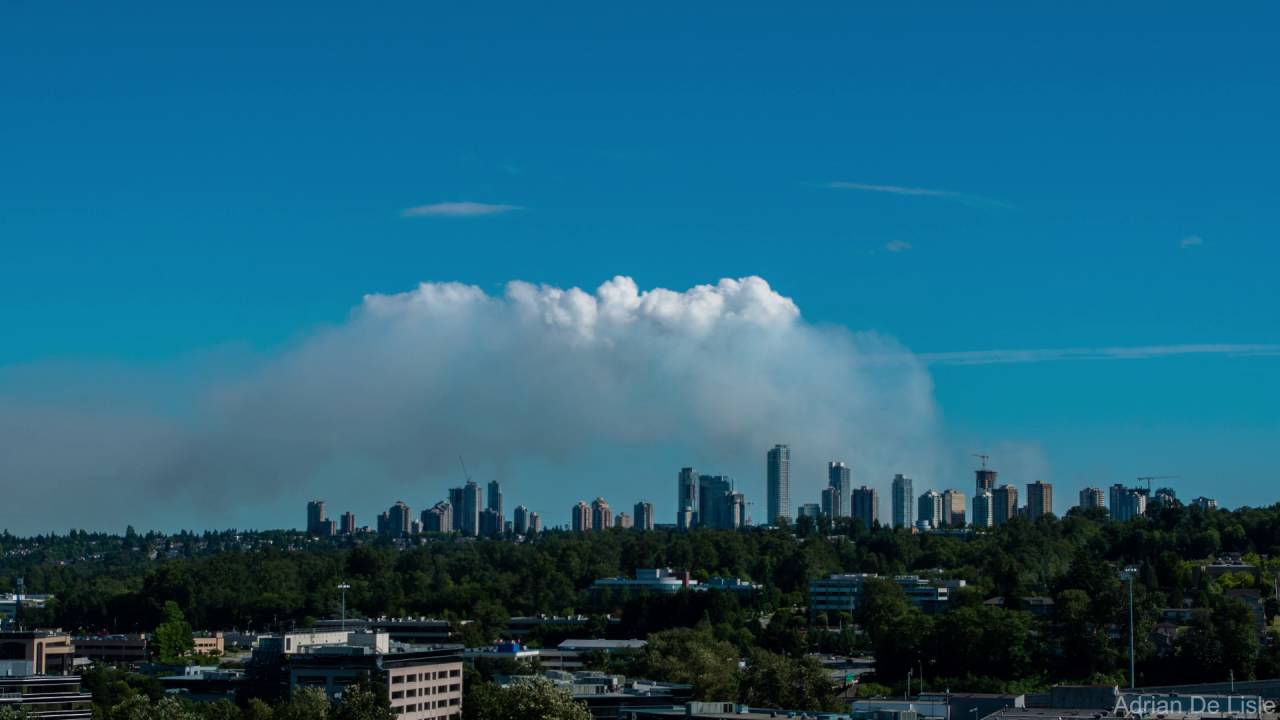 Vancouver Deck Burns Bog Fire 03-07-2016