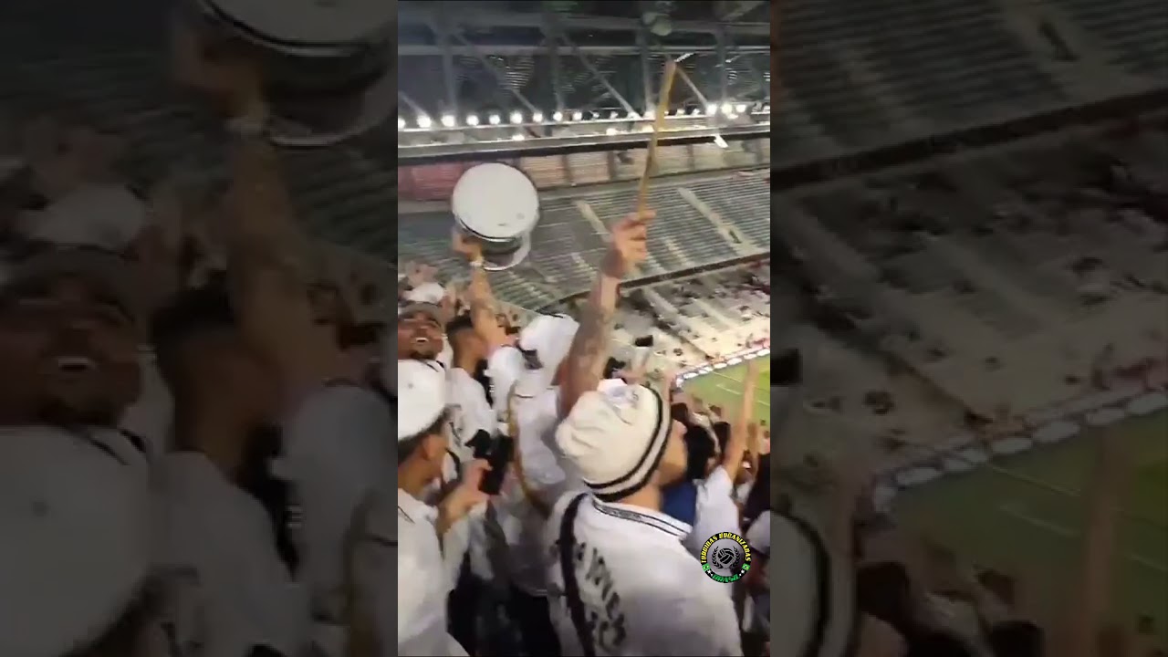 Torcida Jovem do Santos na arena da baixada.