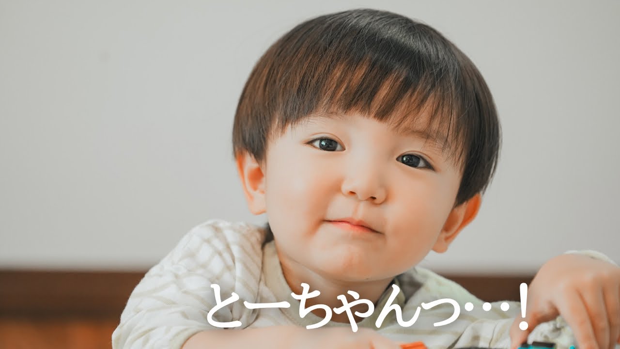 【幼児食】初めての蜂蜜トースト！全部パパに食べてほしい？！（ママのご飯なし）