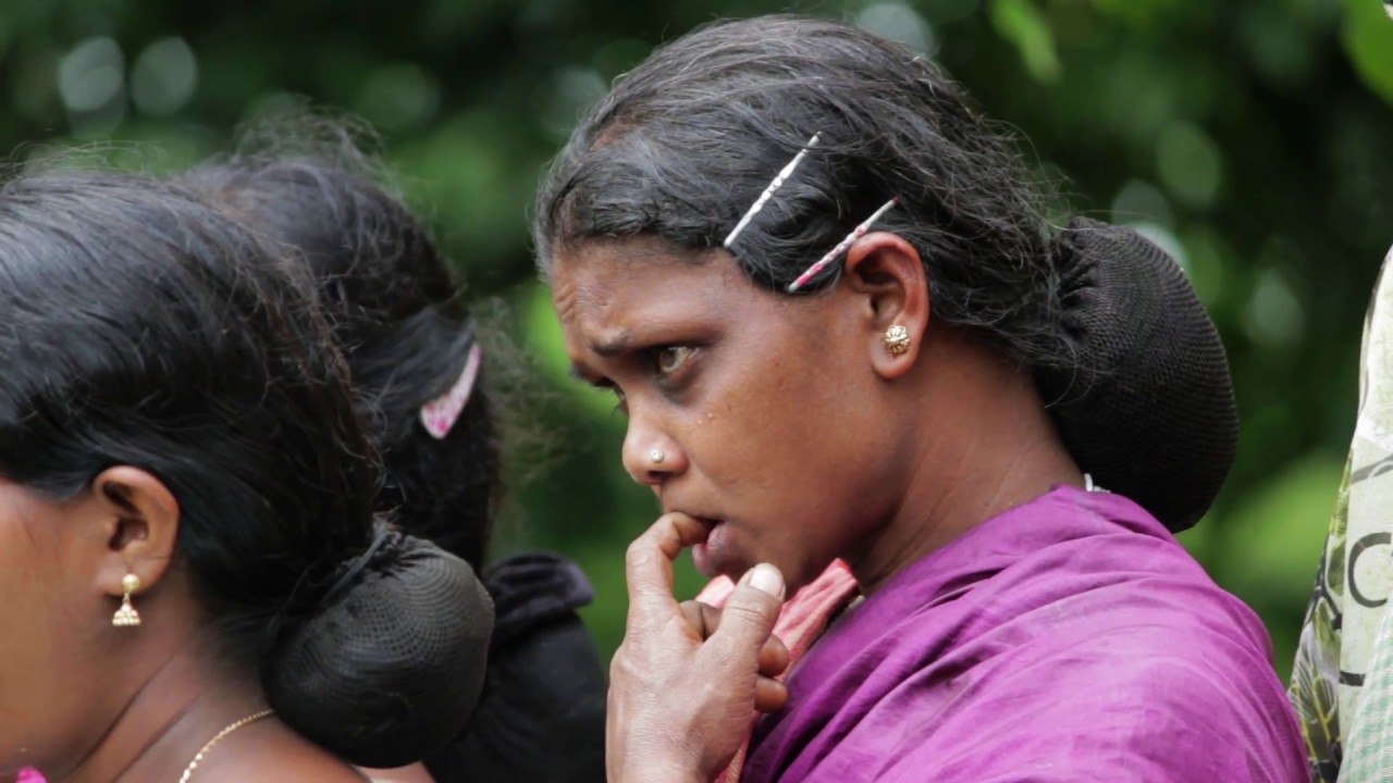 TRIBAL TRADITIONAL AGRICULTURE STORY SHOOLAMUDIYUDE CHERUVIL