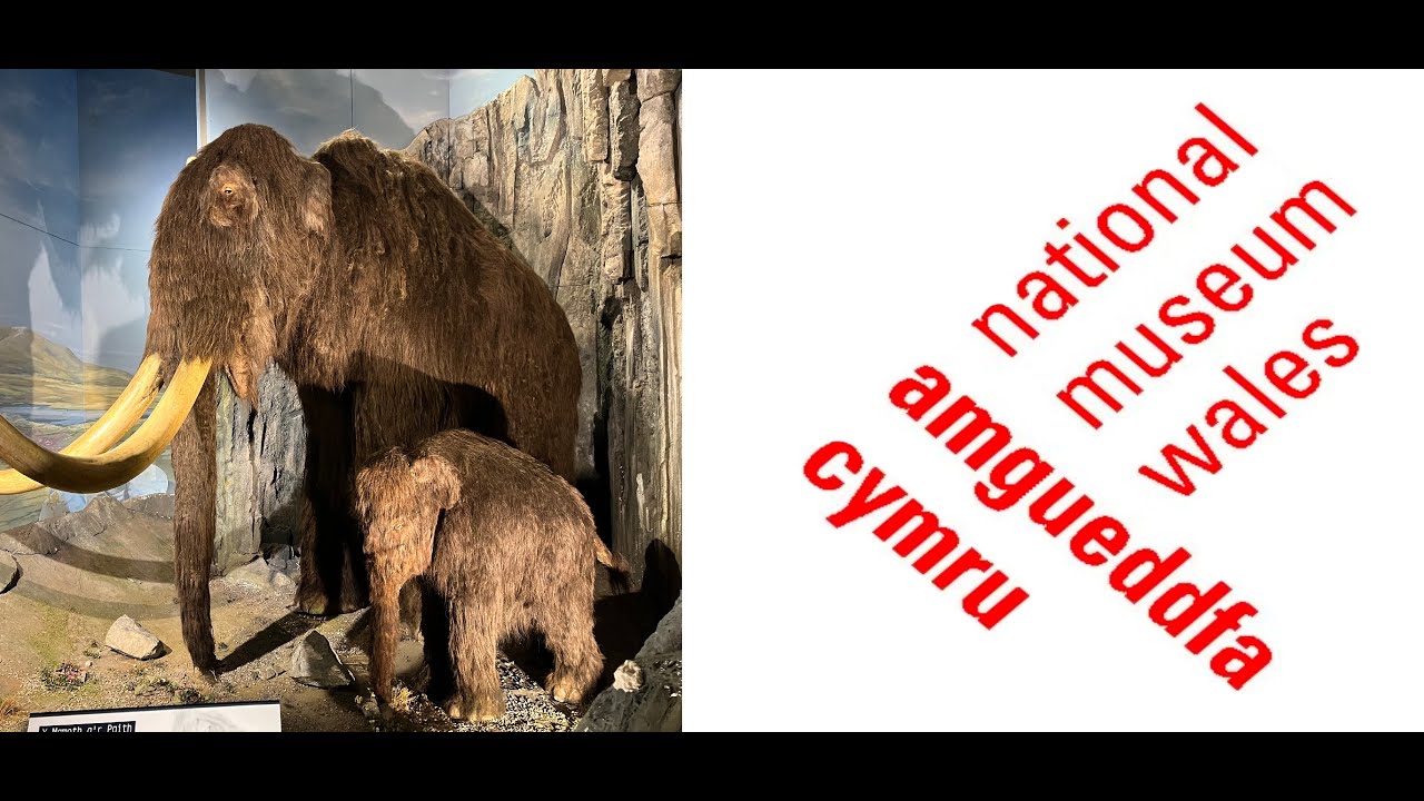 National Museum of Wales December 2025 