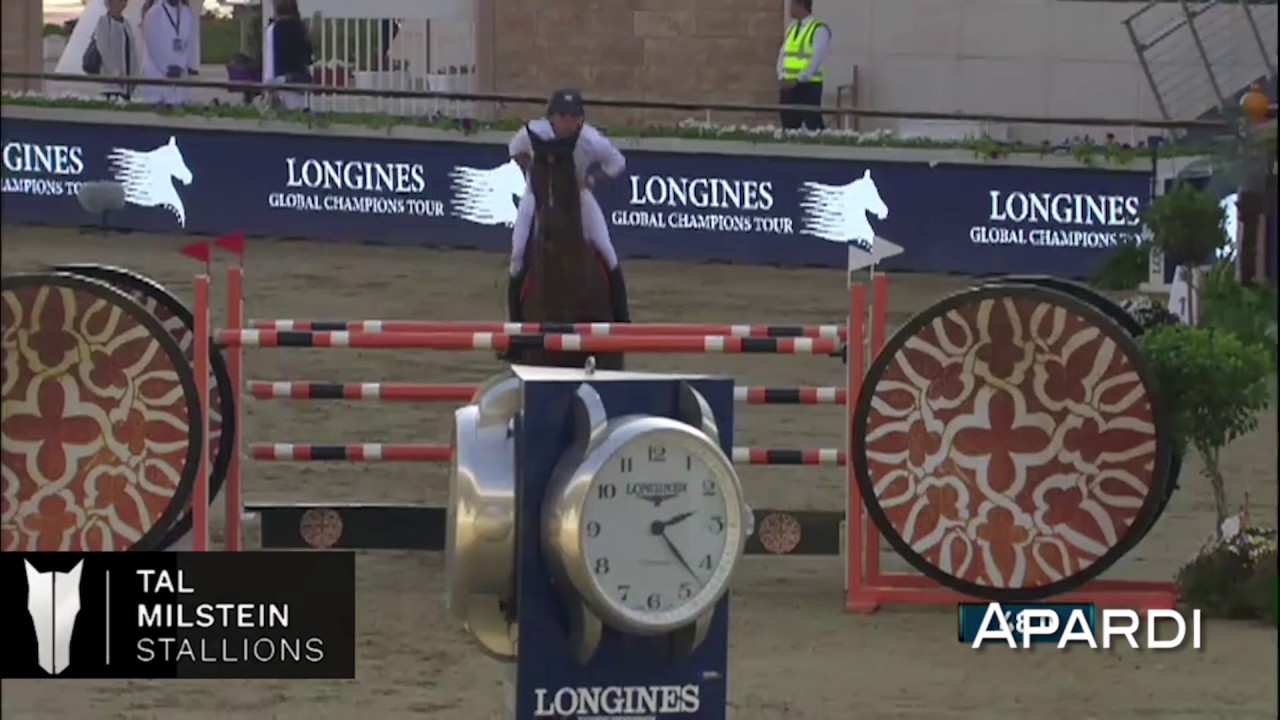 Apardi, 4th place, CSI5* Doha, 1m55