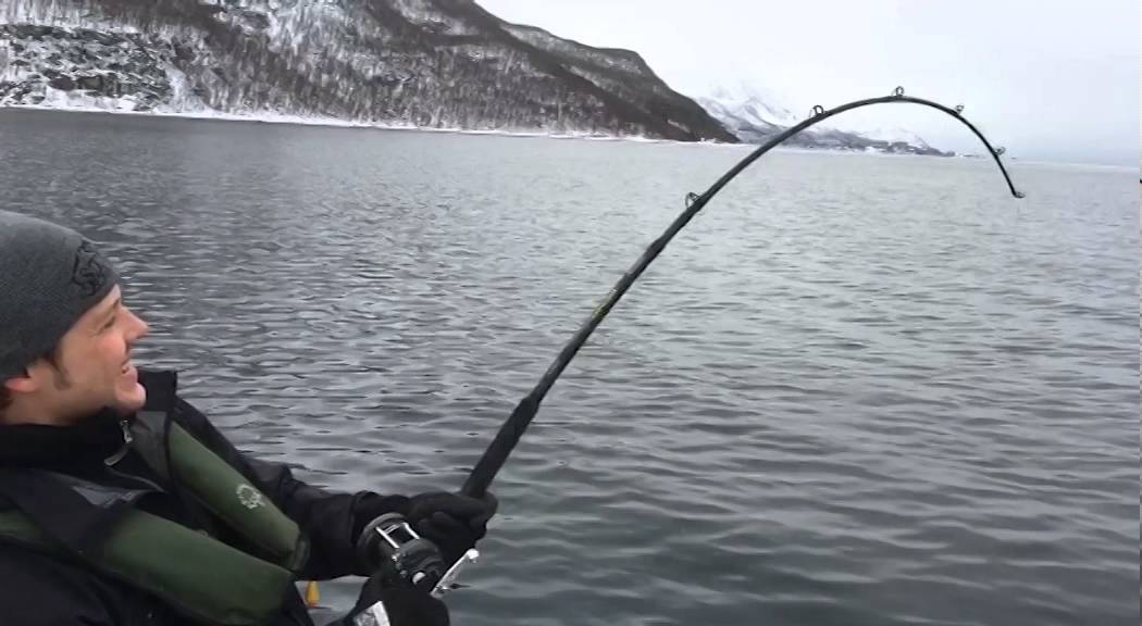 Fiskade torsk - fick gigant på kroken